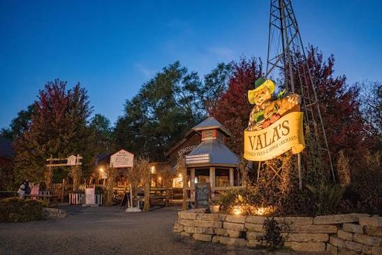 Valas Pumpkin Patch Valas Pumpkin Patch